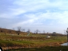 dsc04308.jpg