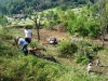 dsc04124.jpg