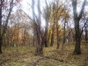 dsc04252.jpg