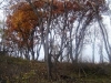 dsc04255.jpg