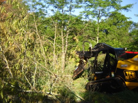 Loader and Tree Shear Ready to Go