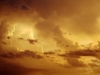 dsc04506.jpg