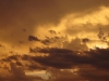 dsc04510.jpg