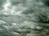 dsc04514.jpg