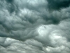 dsc04515.jpg