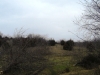 dsc04341.jpg