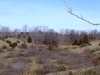 dsc04348.jpg
