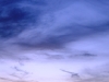 dsc04357.jpg
