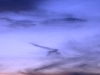 dsc04358.jpg