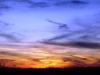 dsc04359.jpg